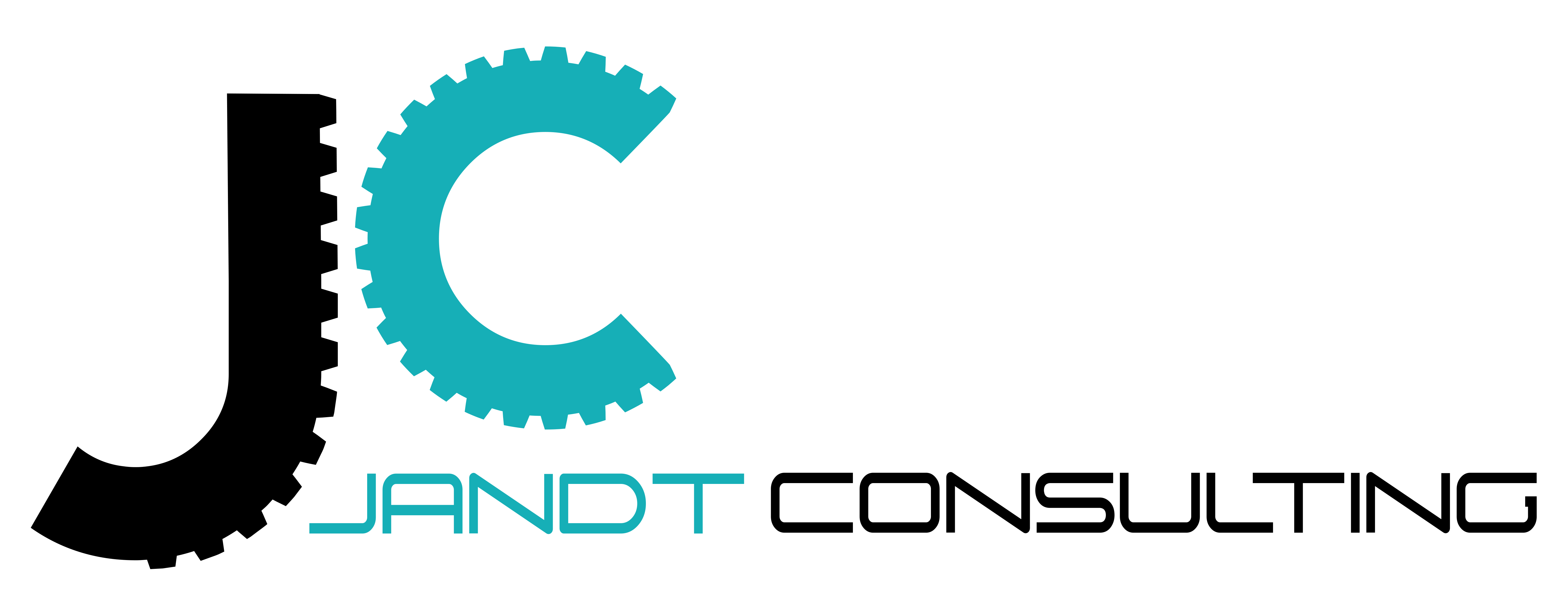JANDT Consulting Logo